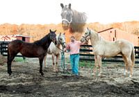 Man and Horses