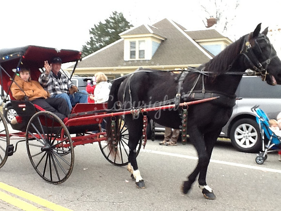 horse & buggy