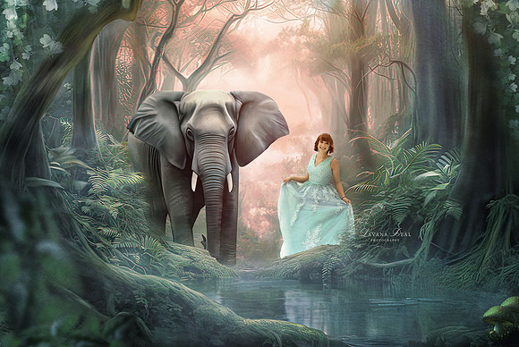 Maddie & Elephant