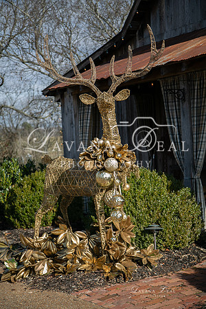 20191213_2019_SM_Lavana_Deal_Leiper's_Fork_Christmas_Parade_105