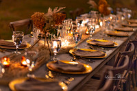 11112023_Lavana_BAM-6998