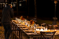 11112023_Lavana_BAM-6986