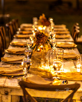 11112023_Lavana_BAM-6983