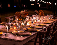 11112023_Lavana_BAM-7002