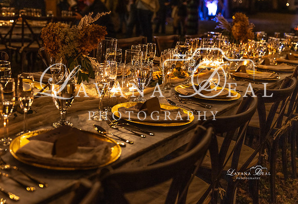 11112023_Lavana_BAM-7094