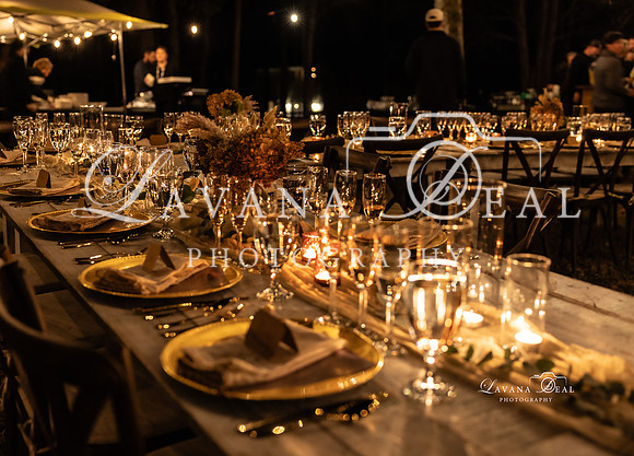 11112023_Lavana_BAM-7114