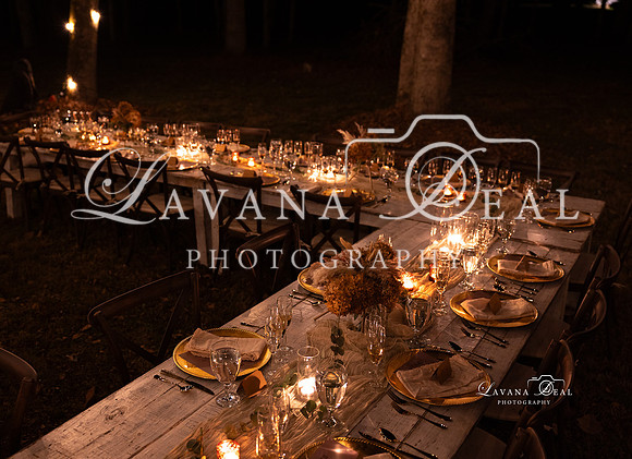 11112023_Lavana_BAM-7116