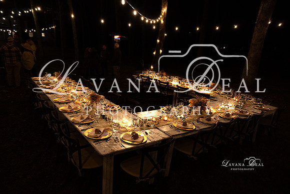 11112023_Lavana_BAM-7118