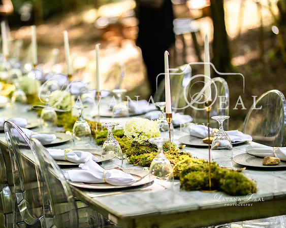 20230613-Lavana-Creek-Dinner-4499